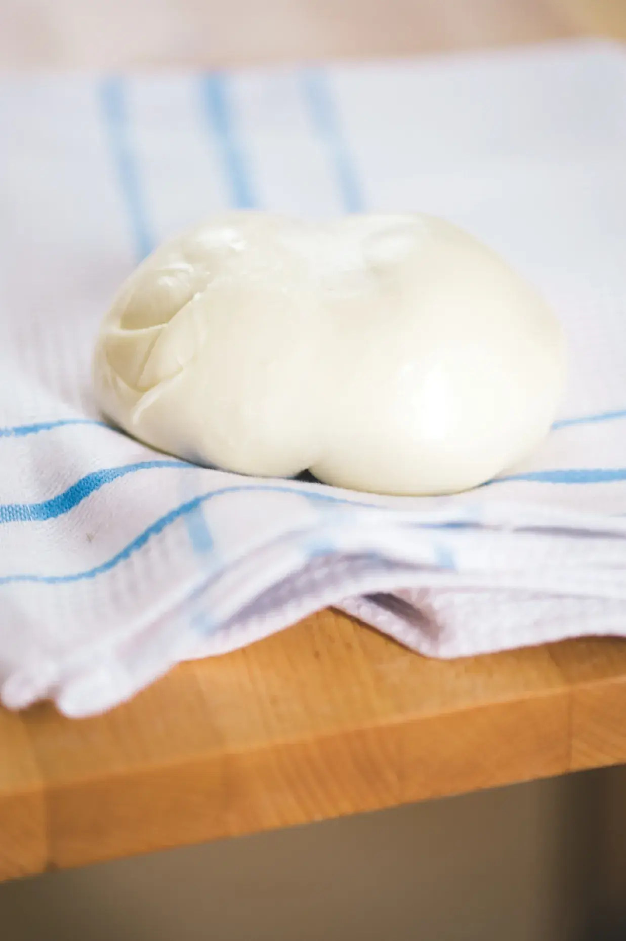 Homemade Mozzarella