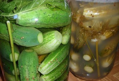 Russian Cucumbers – Quick Salt-Brined Pickles