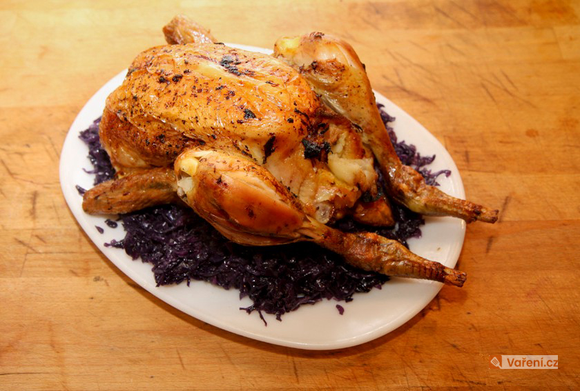 Stuffed Wild Duck