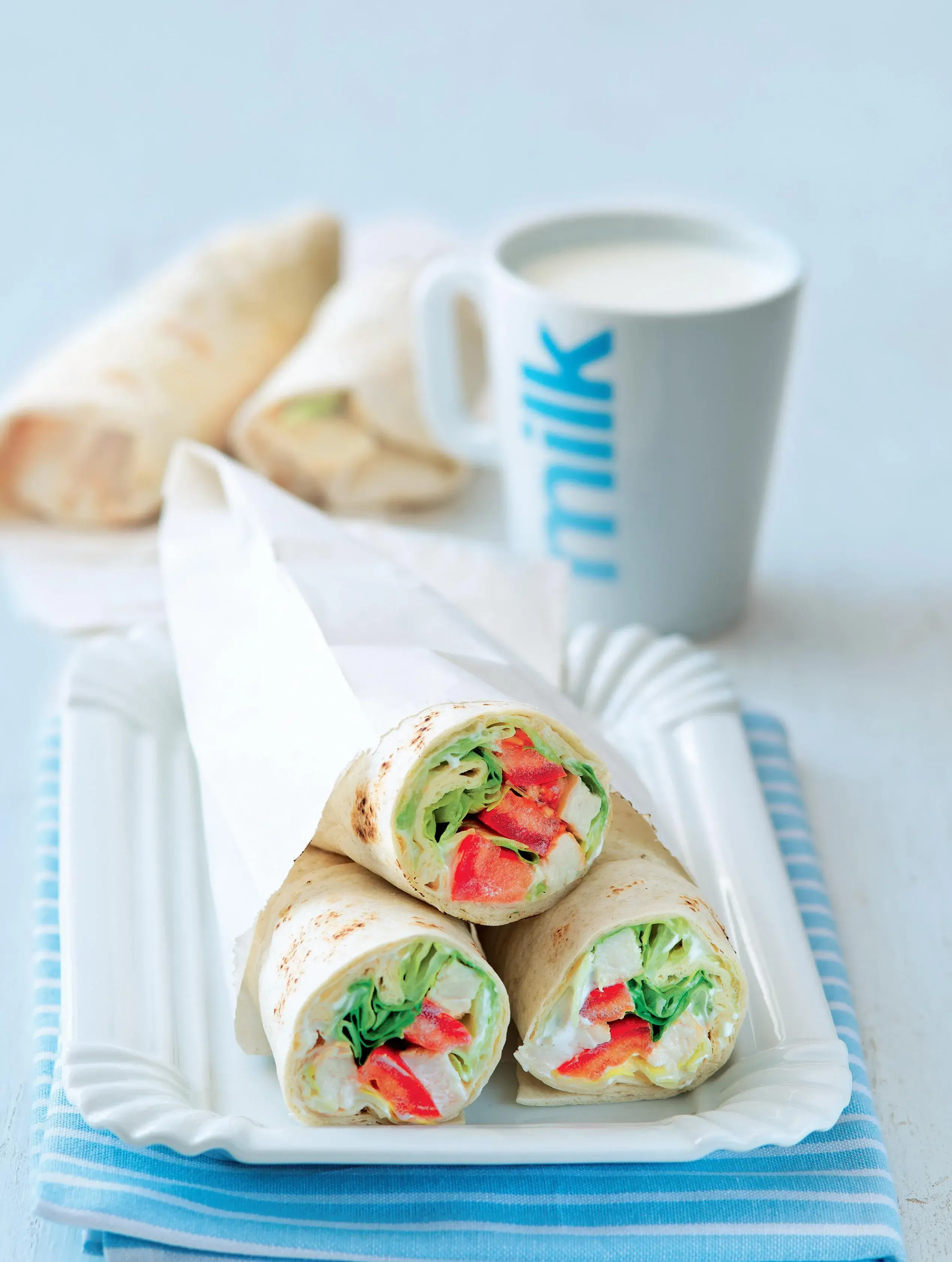 Snack Wrap with Chicken and Vegetables