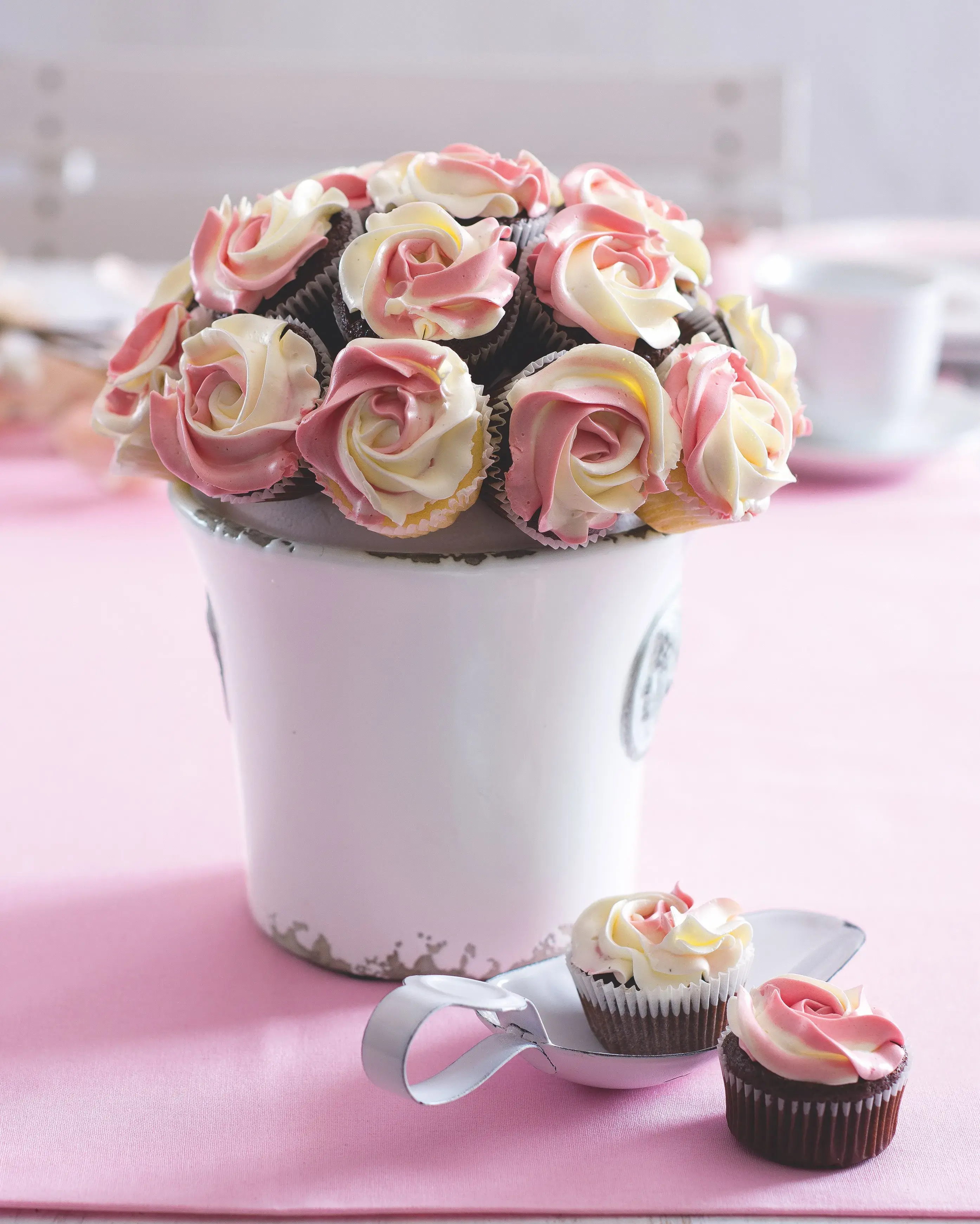 Chocolate Muffins