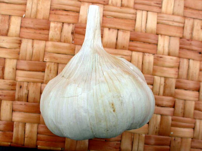 Homemade Garlic Syrup for Coughs