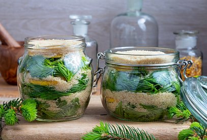 Spruce Tip Syrup