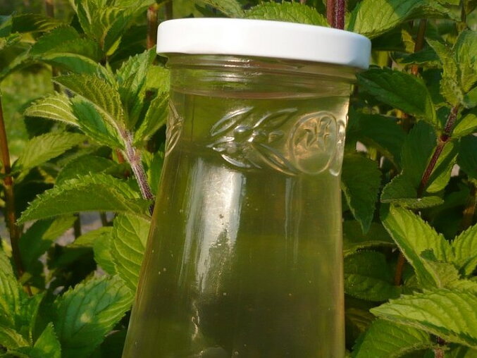 Mint Syrup (Suitable for Diabetics Too)