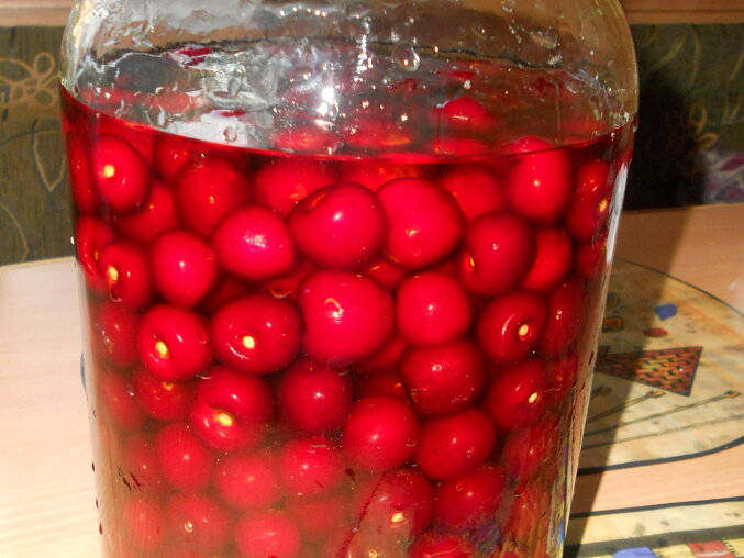 Homemade Griotka (Czech Cherry Liqueur)