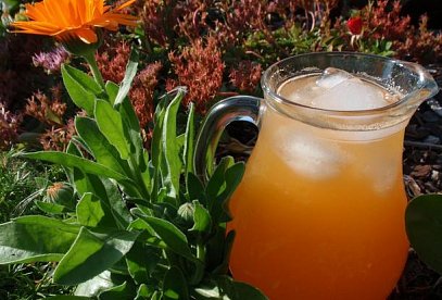 Peach or Apricot Syrup