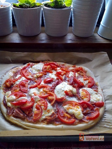 Pizzeria-Style Pizza Dough