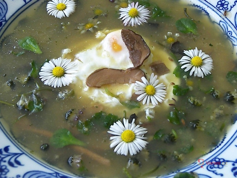 Jarní bylinková polévka