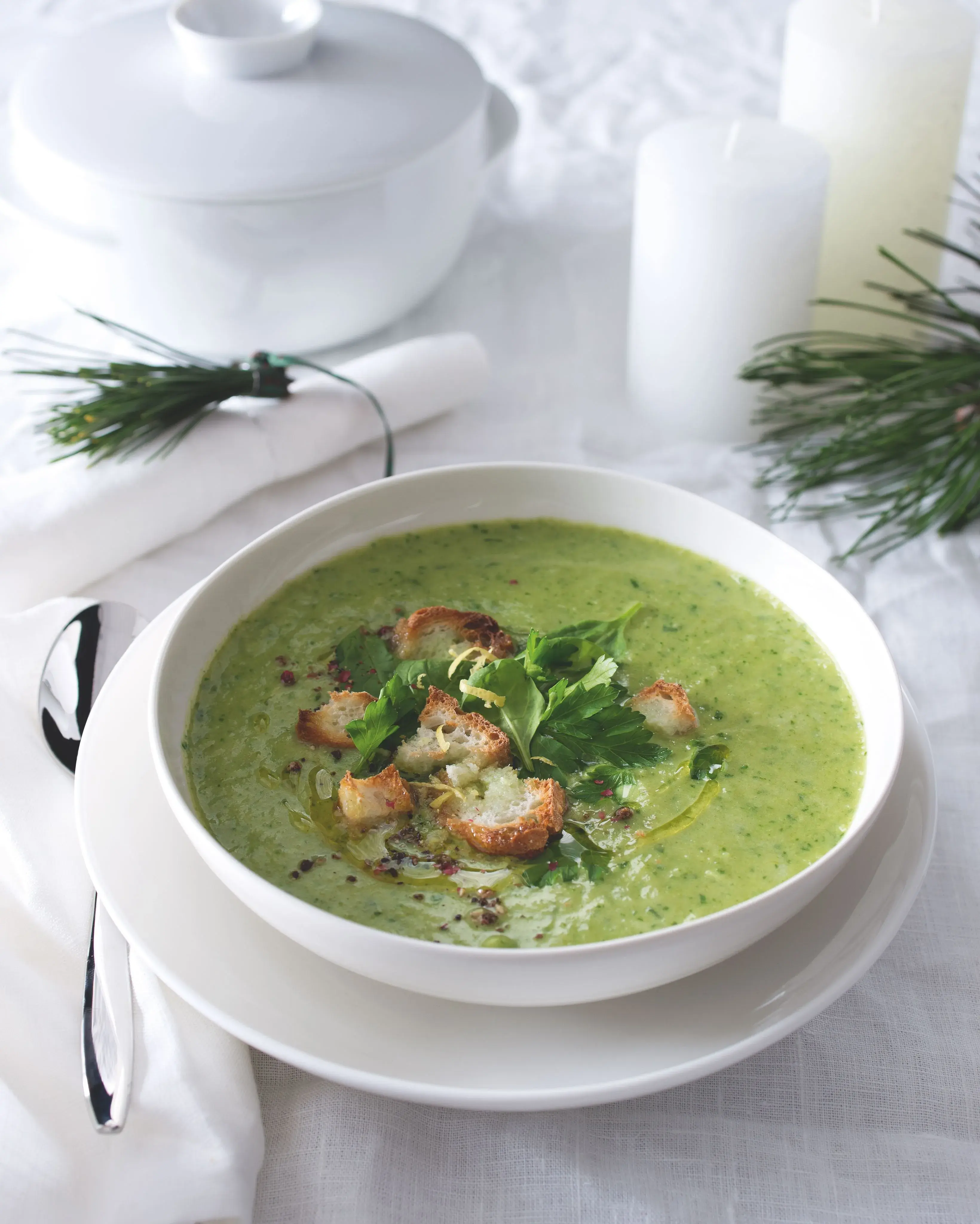 Creamy Leek Soup with Parsley and Croutons
