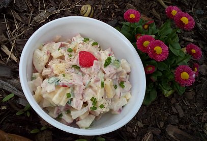 Fresh Radish Salad with Ham and Cheese