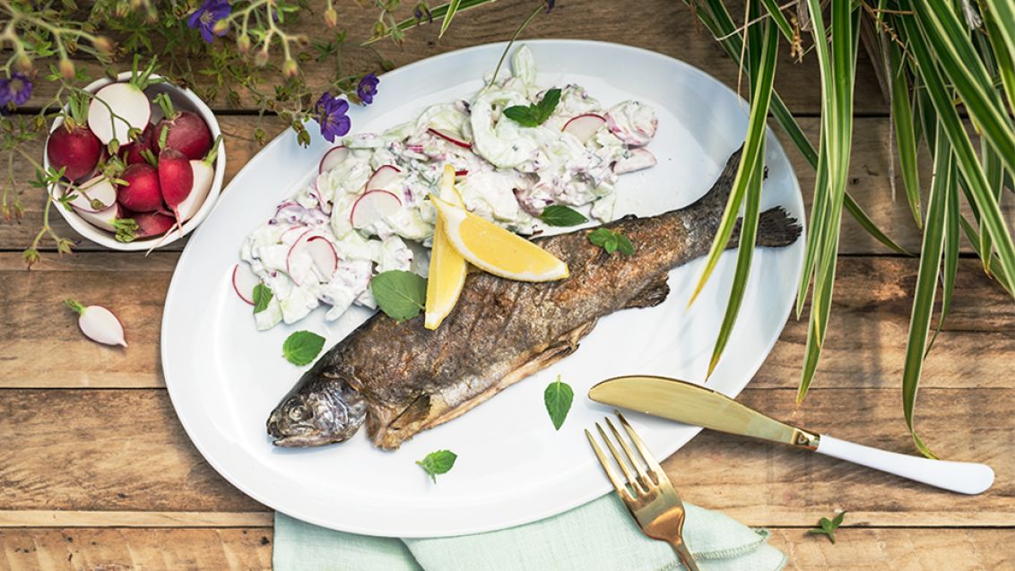 Grilled Trout with Yoghurt Salad