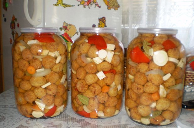 Fish Patties in Spicy Brine