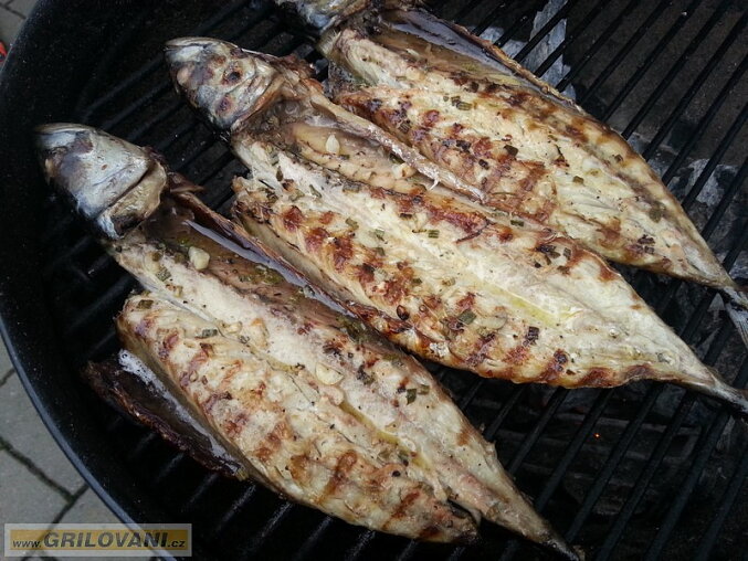 Grilled Mackerel with Garlic and Rosemary