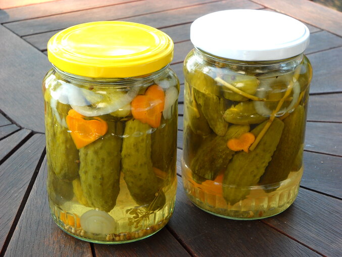 Milotické okurky (Czech Pickled Cucumbers Without Cooked Brine)