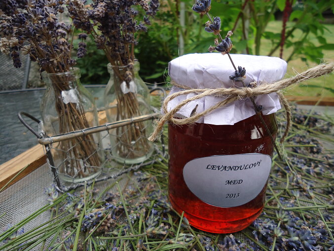 Lavender Syrup (Honey) from Flowering Stems