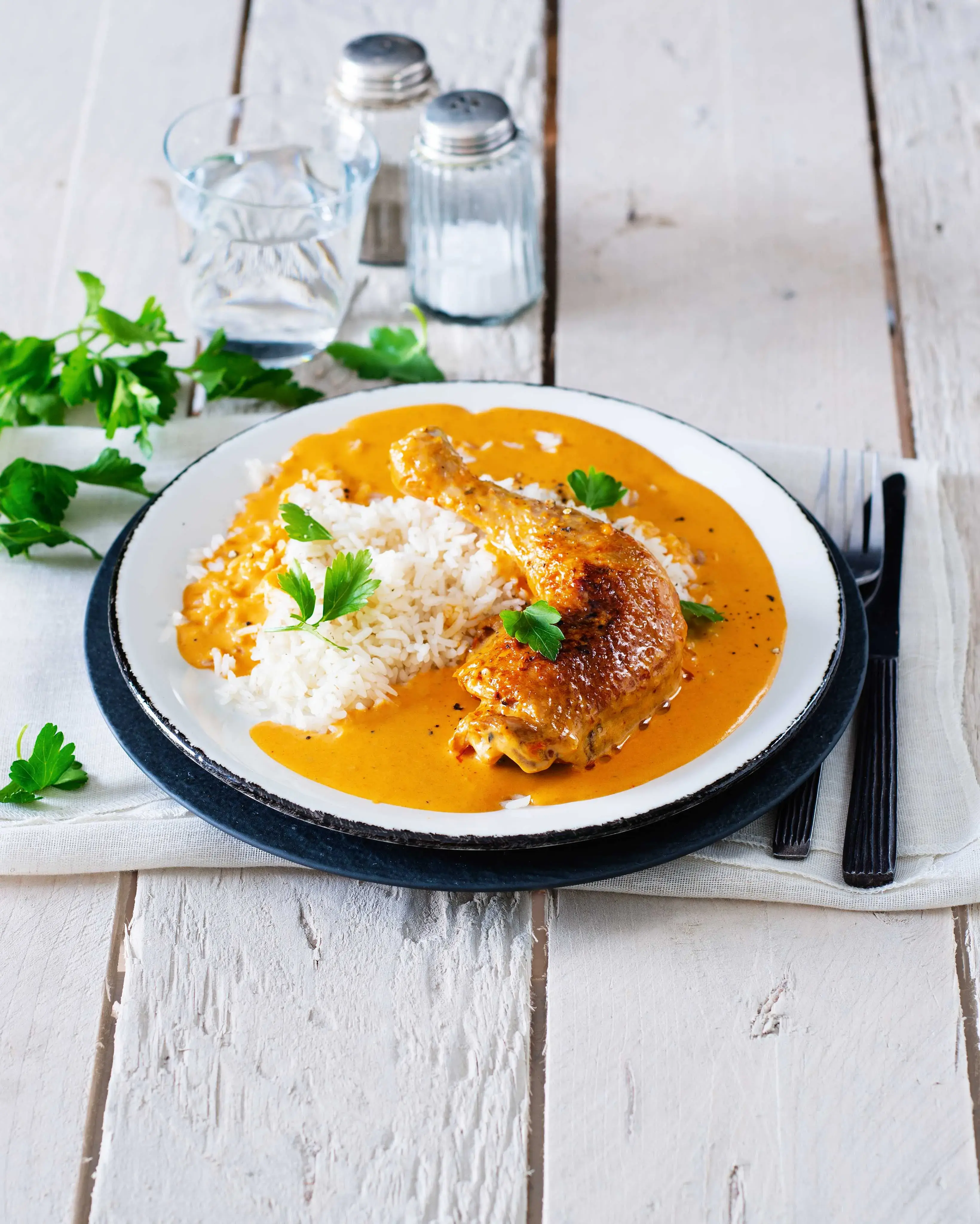 Chicken Paprikash with Carrot and Rice