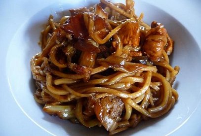 Chinese Noodles with Chicken and Mushrooms