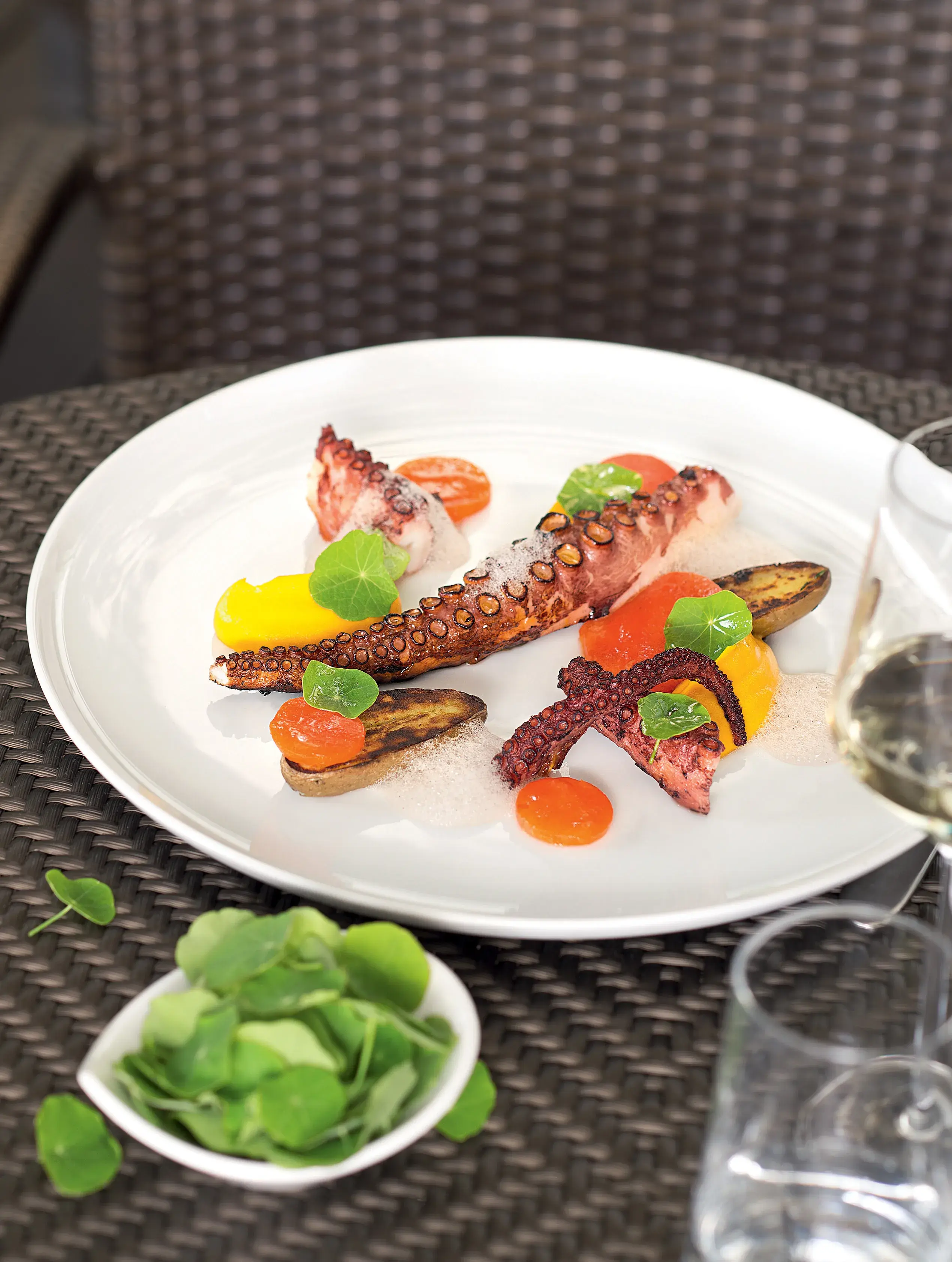 Grilled Octopus
