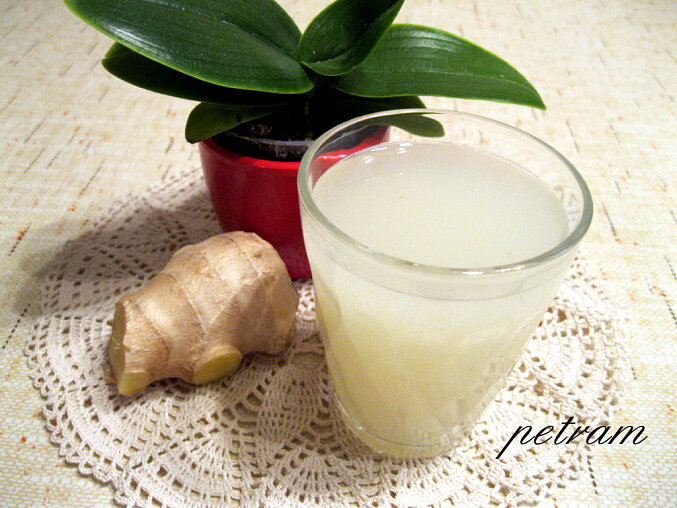 Doma kvašená zázvorová limonáda (ginger beer)