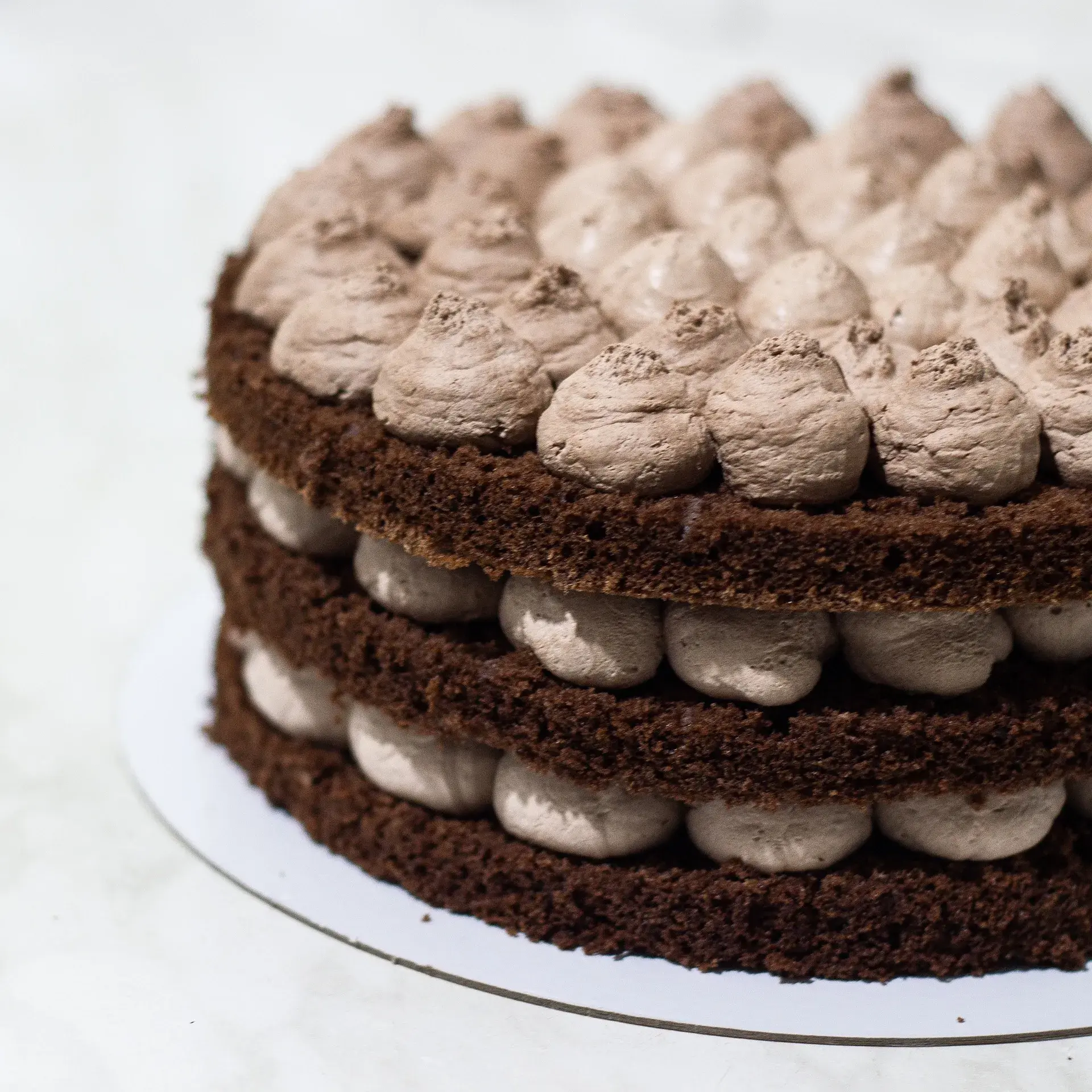 Moist Cocoa Sponge Cake Base