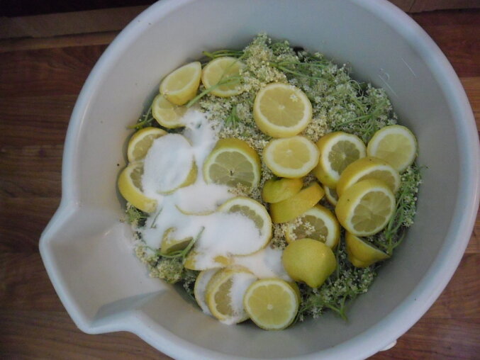 Homemade Elderflower Cordial
