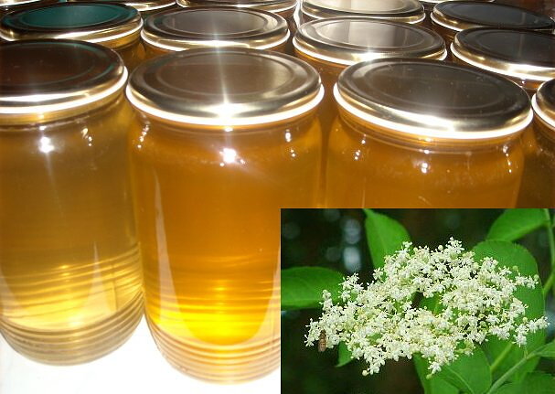 Elderflower Juice